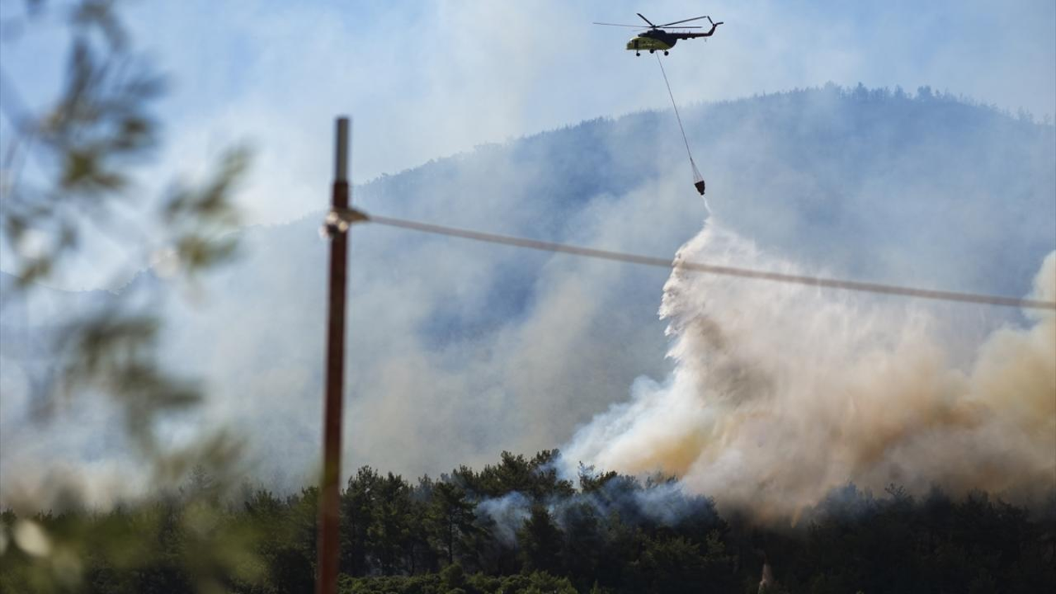 Çanakkale'de çıkan orman yangını kontrol altına alındı